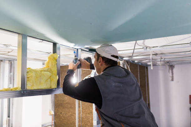 Best DIY Insulation Kits and Guidance in Lawrenceville, VA