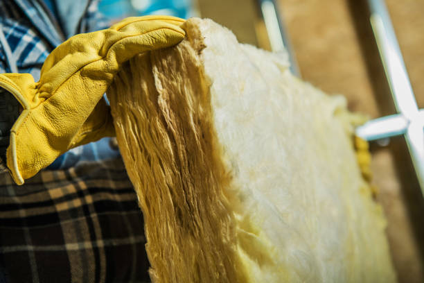 Best Insulation Maintenance and Repair in Lawrenceville, VA