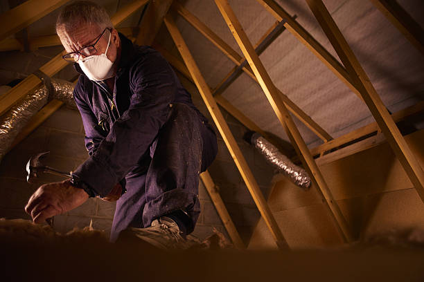 Trusted Lawrenceville, VA Insulation Contractor Experts